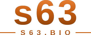 s63 logo